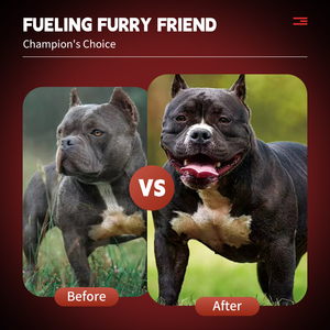 שריר יואן לחיות מחמד להשיג לועס רך טבליות אבקת שרירים פיתוח & התאוששות עבור כל הכלבים גוף בניית תוסף תזונה המונית - Product Image 5