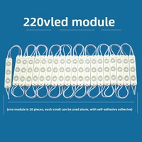 7515 LED Module110V/220V Blanc Froid LED Module 2W Injection 2835 3LED Publicité Lumière ROHS Conforme Disponible Blanc Chaud