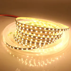 Fabrikant 5V 12V 24V 5050 5025 2835 3014 Smd Flexibele Dubbele Witte Ledstrip Ct Ct Led Strip Voor Plafonddecoratie