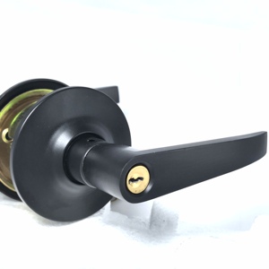 Nút đòn bẩy xử lý khóa - Product Image 1