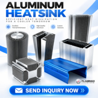 Dissipateur thermique de 100 mm, dissipateur thermique personnalisé, dissipateur thermique en aluminium, profil d'extrusion, finition anodisée et peinture poudrée, usinage CNC, service de fournisseur