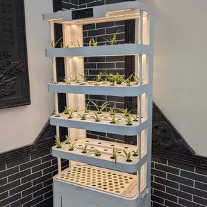 Jardin <span class=keywords><strong>d</strong></span>'<span class=keywords><strong>intérieur</strong></span> hydroponique vertical intelligent-Nouveau système de croissance intelligent pour fruits et légumes - Product Image 1