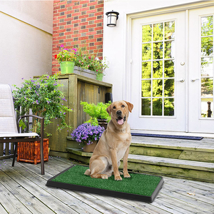 Venta al por mayor bandeja de baño para mascotas perro interior/exterior hierba grande mascota <span class=keywords><strong>Loo</strong></span> portátil orinal personalizado sostenible verde limpieza Productos - Product Image 3