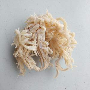 VENTE CHAUDE EUCHEUMA COTTONII ALGUES-COTTONII ALGUES/COUTURE le MEILLEUR PRIX/Ms. Lima - Product Image 1