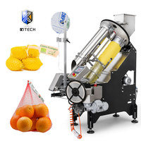 Citrusnetzakkenmachine voor het verpakken van citroenen, sinaasappels en ander vers fruit