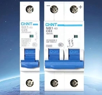 Disjoncteur à chint chaud MCB NB1-63 1A 2A 3A 4A 6A 10A 16A 20A 25A 32A 40A 50A 63A 1P 2P 3P 4P 6kA NB1-63 2P C10 interrupteur d'air