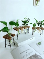 Vase en verre hydroponique minimaliste pour table avec support en bois, vase en verre créatif avec base en bois
