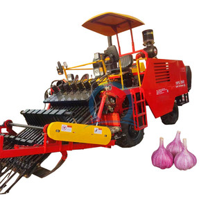 Otomatik çok sıralı sarımsak rizom kaldırma kombine hasat makinesi taze sarımsak kök ayırma hasat - Product Image 4