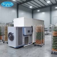 Déshydrateur de légumes de qualité supérieure, machine à sécher les carottes, machine à sécher les poivrons, à vendre