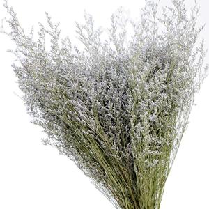 Venta al por mayor de fábrica caspea seca hierba de amante seca natural para decoración de fiesta en casa de boda - Product Image 5