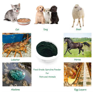 ผงสาหร่ายสีเขียว-น้ำเงินเกรดอาหารสัตว์ โปรตีนสีเขียววีแกนบริสุทธิ์ สารสกัดสาหร่ายสไปรูลิน่าออร์แกนิก - Product Image 4