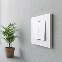 Offre Spéciale – Interrupteur Mural Double Type 86 Norme UE, Commande Unidirectionnelle ou Bidirectionnelle, Panneau PC Encastré, 250V