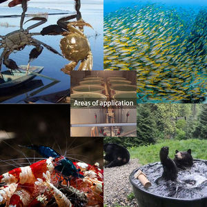 Fabricante profissional feito sob encomenda com sistema de chocar aquacultura - Product Image 5