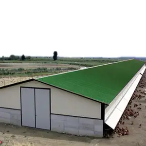 Cobertizo para granja de aves de corral, estructura de acero prefabricada, gran alcance, 1200 m2, para pollos