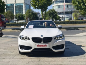 Un'auto sportiva convertibile di seconda mano di alta qualità e conveniente della serie 2 2019 2 serie 220i - Product Image 2