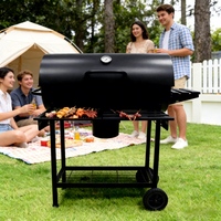 Barbecue en acier inoxydable Huize avec tables latérales pliables, roues mobiles, design moderne, pour usage domestique et extérieur, 5 personnes, pique-nique, camping