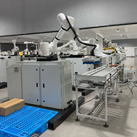 Collaboratieve robots, robotcobot, 6-assige robotarm voor het palletiseren van gedroogd fruit in dozen en magazijnautomatisering