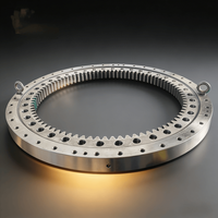Roulement de rotation pour plateforme de forage rotative VSR250 SND1400.20Z