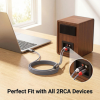 Câble audio SOTAKO USB-C vers double RCA avec DAC intégré, connecteurs plaqués or - Stéréo HiFi pour ordinateur, home cinéma, ordinateur portable, haut-parleur