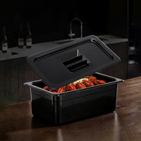 Bac à glace GN 1/4 en polycarbonate de haute qualité, écologique, pour équipement de restaurant, buffet d'hôtel et présentation