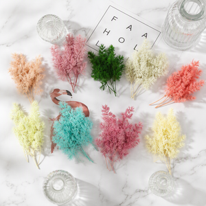 Hojas Secas <span class=keywords><strong>de</strong></span> Ming Ferns y Asparagus Myrioeladus, Ramas Florales Naturales Hechas a Mano para Decoración <span class=keywords><strong>de</strong></span> Bodas y Hogar - Product Image 5