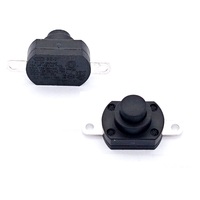 Interrupteur à bouton-poussoir marche-arrêt à borne à souder 250V 10A 2 broches pour lampe de poche torche ENEC catégorie de produit interrupteurs à bouton-poussoir