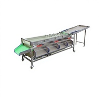 Sorteermachine voor groenten en fruit: aardappel, tomaat, knoflook, chilipeper, ui, wortel, komkommer, champignons.