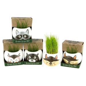 Pot Hydroponique Herbe à Chat Double Couche - Sans Terre, Avec Bac à Eau Amovible - Pour Faire Pousser De L'herbe à Chaton Facilement
