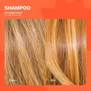Lance Private Label Jengibre Champú Vegano Estimula el Crecimiento del Cabello Controla La Pérdida de Cabello Más Fuerte Raíces del Cuero Cabelludo Jengibre Champú PARA EL Cabello - Product Image 5