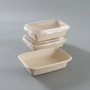 Customizable US 750ml Two-compartment Oil Proof And Microwave Container Biodegradable Disposable Lunch Box