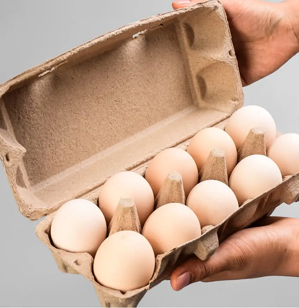 10 hamuru yumurta tepsisi kalıp tavuk karton çevre tek kullanımlık hamuru yumurta tepsisi
