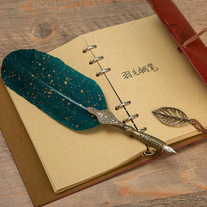 حار بيع النحاس العتيقة الريشة القلم مع الحبر دفتر والصلب نصائح الخط ريشة قلم هدية مجموعة للرسم - Product Image 3