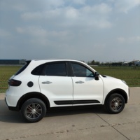 Nouvelle Meilleure Vente Voiture Électrique Mini Personnalisable 3500W Nouveau Design Quatre Places Abordable pour Personnes Âgées