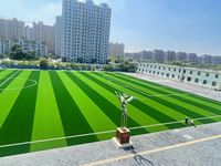 Tapis de gazon artificiel vert pour le baseball, ignifuge, résistant à la pression, pour le sport en plein air, tapis de golf