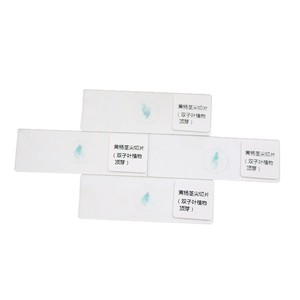 <b>Microscopic</b> slides, representative plant specimens, teaching aids, longitudinal section of boxwood terminal bud, biological - Product Image 1