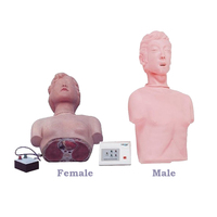 Modelo de entrenamiento médico simulación de PVC maniquí humano de medio cuerpo CPR