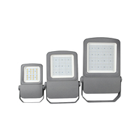 SLFR03-110 IP66 Lámpara LED Inteligente para Exteriores, Resistente al Agua, 100W de Alta Potencia, para Paisajes y Carreteras