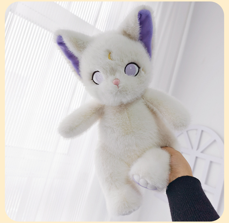 Coquille de peau de chat sorcière 40cm