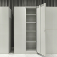 Armoire de bureau professionnelle en acier, 2 portes, casier métallique avec serrure à clé, meuble de rangement étanche pour l'école