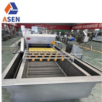 Automatische Wasmachine-En Verpakkingsmachine Voor Fruit