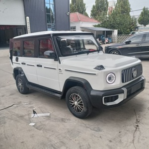 Nuevo Vehículo Eléctrico Ecológico para Adultos, Mini 4x4 Económico, con Neumáticos de Aleación de Aluminio, Aire Acondicionado, 50-100KW - Product Image 1