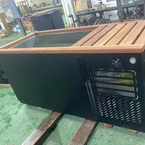 WIFI Control Newly Designed Outdoor Redwood Cold Tub With Cooling System