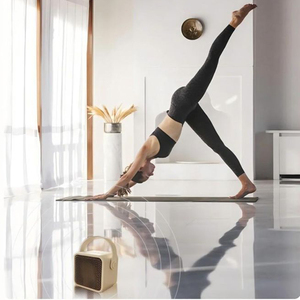 Mini Xách Tay Loa Không Dây 3D Stereo Surround Âm Thanh Nhà Theatre Cho 5.3 Điều Khiển Bằng Giọng Nói Pin Được Hỗ Trợ Cho Máy Tính - Product Image 5