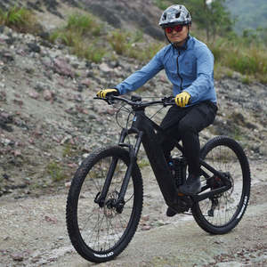 Bicyclette de <span class=keywords><strong>VTT</strong></span> électrique personnalisée en carbone de 29 pouces pour adulte, puissante, à entraînement central, batterie cachée et à longue portée - Product Image 3