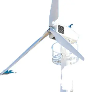 ESG Hot Sale Vertical 30kw 220v Wind Power System Cheapest Permanent Generator Horizontal Axis Wind Turbine
