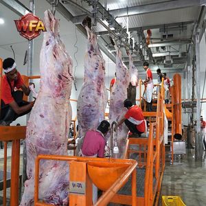 Équipement d'abattage de bétail à poussée manuelle facile à utiliser, matériel d'abattage de moutons pour abattoir - Product Image 3