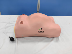 Modelo de Parto para Entrenamiento Médico, Simulador de Nacimiento para Enfermería, Modelo de Maternidad Avanzado - Product Image 4