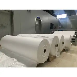 High Quality China Manufacturer 100% PP KN95 N95 KF94 FFP2 FFP3 Filter Material Melt Blown Nonwoven Fabric