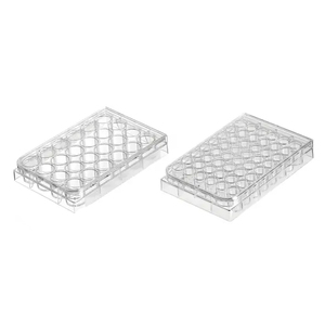 Microplates <span class=keywords><strong>6</strong></span> 12 24 48 96 Lubang Lubang Jaringan <span class=keywords><strong>Cell</strong></span> <span class=keywords><strong>Culture</strong></span> <span class=keywords><strong>Plate</strong></span> dengan TC Diobati - Product Image 5
