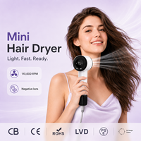 Sèche-cheveux ionique professionnel le plus vendu pour le commerce de détail, léger, séchage rapide, avec diffuseur, idéal pour les voyages